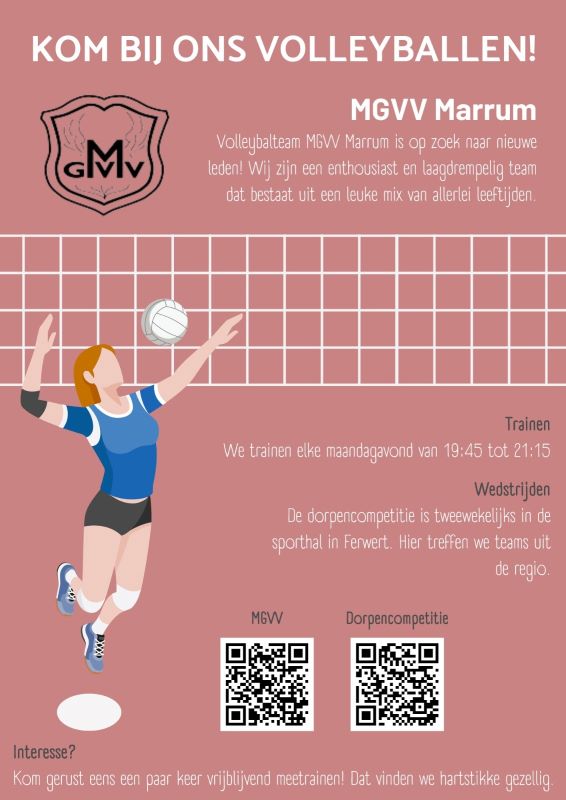 MGVV Volleybal 2